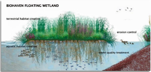 Graphic Lake Q ISLAND