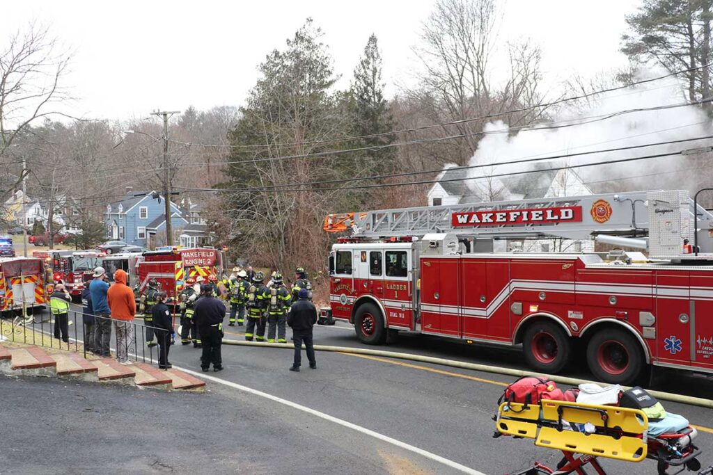 Fire Forest Street 2024