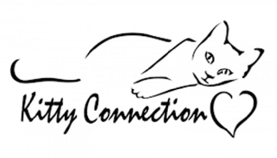 Kitty Connection holds mini online auction June 12 – 14