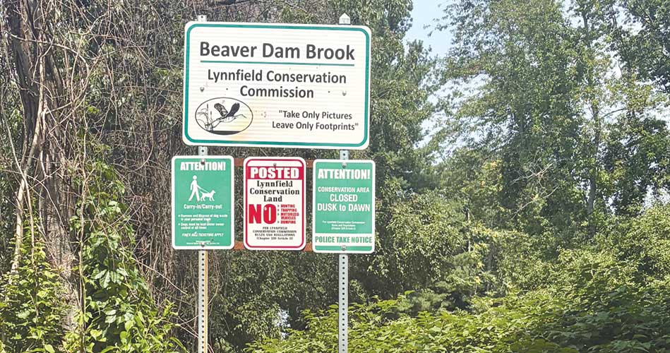 Girl Scout Gold Award project celebrates Beaver Dam Brook Reservation