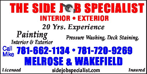 THE SIDE JOB SPECIALIST