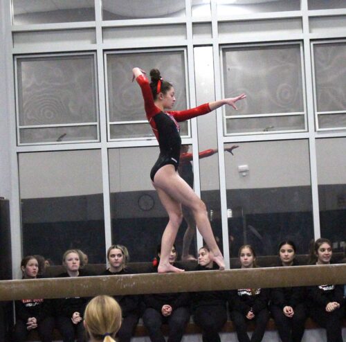 Gymnastics 2023-2024